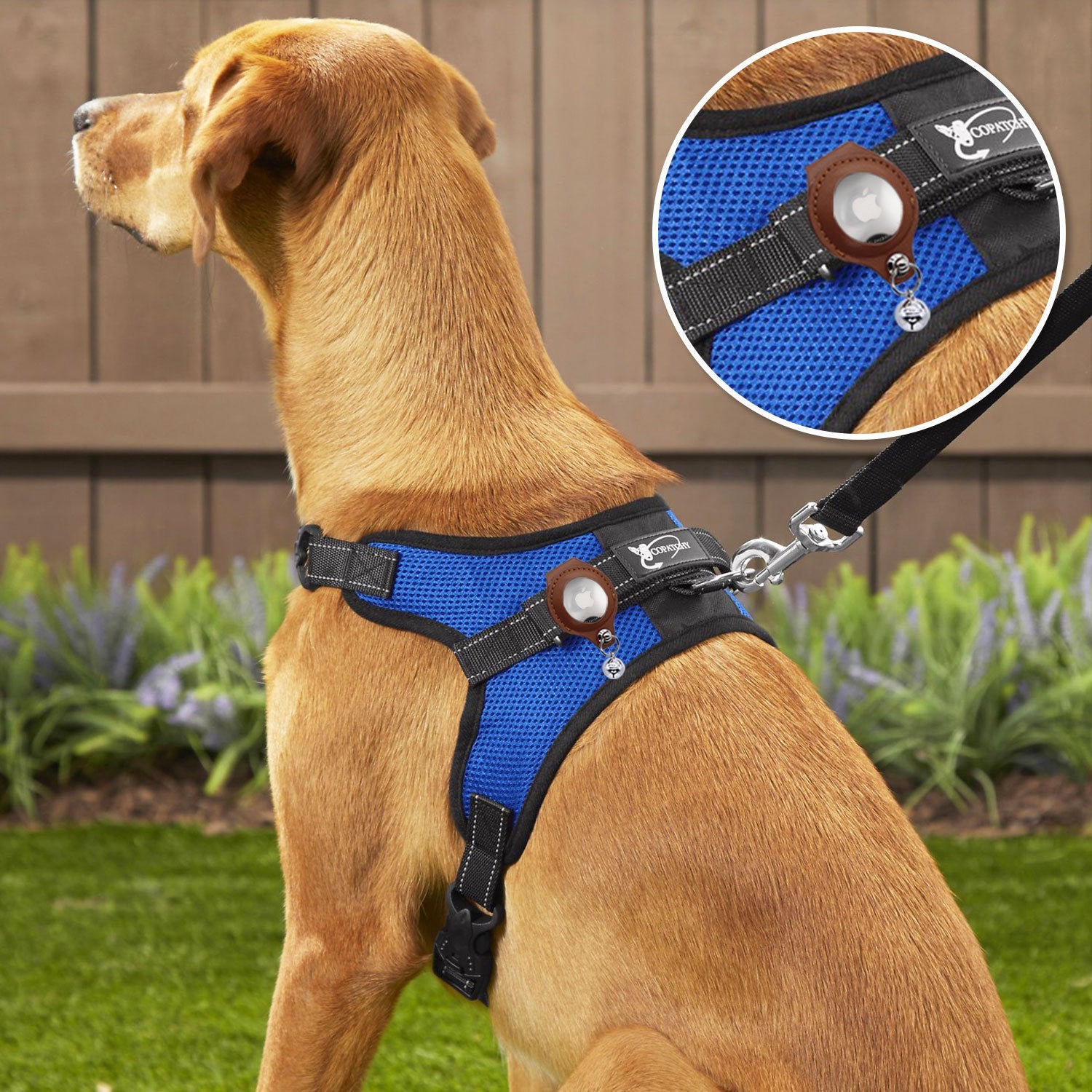 Pet AirTag Protective Case by Best Friend Tail Pet Accessories Pet Accessories Pet Accessories detachable-pet-anti-loss-case-for-airtag-tracker Pet AirTag Protective Case Uncategorized